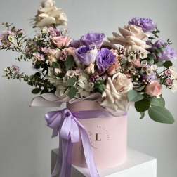 Lavender Beauty