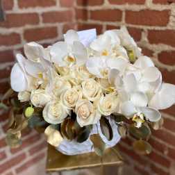 Orchid Dove - Santa Clarita Valley Florist