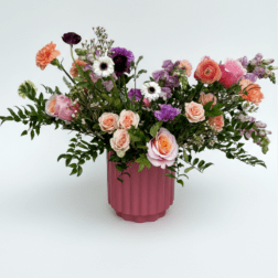 Boujie Designer's Pick