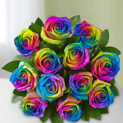Rainbow Bouquet By Scarlett Reign