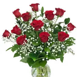 Classic Red Dozen Roses