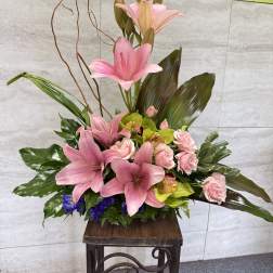 Imagination Blooms with Cymbidium Orchids