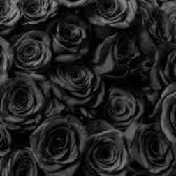 Black Roses!!!