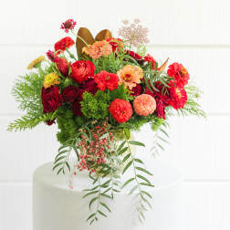 crimson garden elegance