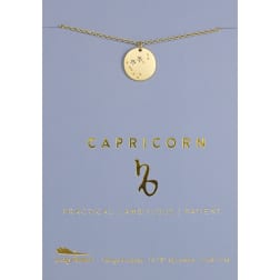 Capricorn Zodiac Necklace