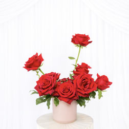 The Valentine's Collection: Grace