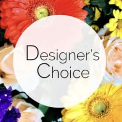 Designer's Choice