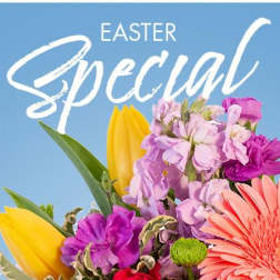 Easter Special - Designer's Choice