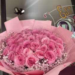50 Premium Pink Roses