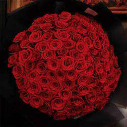 100 Stem Red Roses