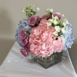 Suzanne Cummings Original 15