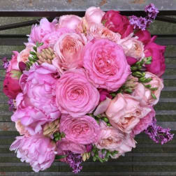 Suzanne Cummings Original 1