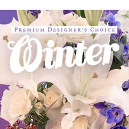 Premium Designer’s Choice – Winter