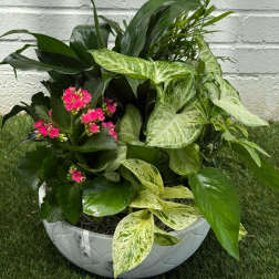 Tropical Tranquility Garden Bowl