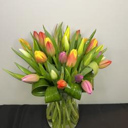 Spring Tulips by Chasing Petals