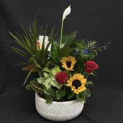 Mixed green plant garden with yellow sunflowers, red roses, and a white bloom in a white ceramic bowl