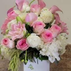 Graceful Remembrance