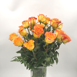 Color Roses (Pink, White, Yellow, etc)