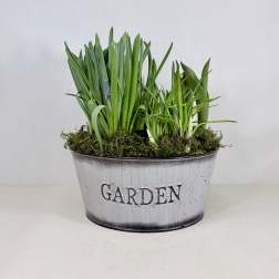 Seasonal Bulb Garden