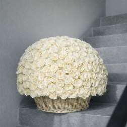 Large dome of white roses in a woven basket