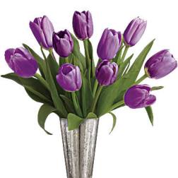 Tantalizing Tulips Bouquet by Teleflora