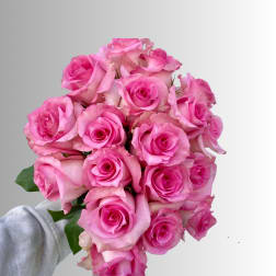 Handheld bouquet of pink roses