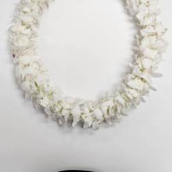 Ring-shaped garland of densely strung white orchid blooms on a white background