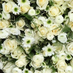 Designer's Choice Vase Arrangement White and Green by Chasing Petals