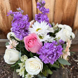 Bouquet of pink and white roses with purple blooms and white daisies