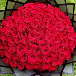 La Buchona 100 Rose Bouquet