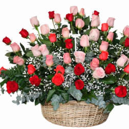Basket of red and pink roses with baby's breath