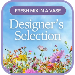 Designers Choice Arrangement