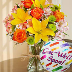 Fields of Europe Get Well