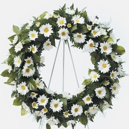 Field of Daisy Wreath