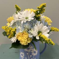 Daisy Pitcher
