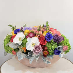 Vibrant Garden Orchid