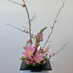 Spring Blossom - Limited