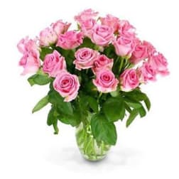24 Pink Roses arranged in a glass vase