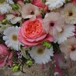 Pink roses and white daisies in a hand-tied bouquet