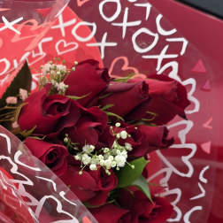 Bouquet of deep red roses with white baby's breath in pink wrap