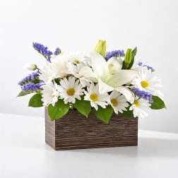 White Lily & Daisy Harmony Box