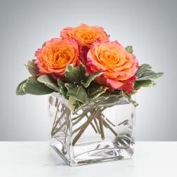 Three orange roses in a clear glass cube vase