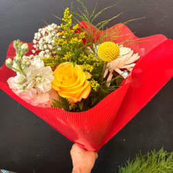 Big Boss Pick Of The Week Special!! Styles may vary, Let the Boss take control!!!