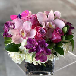 Pink orchids and roses arranged in a square glass vase