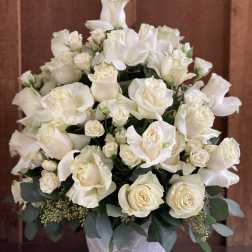 White roses arranged in a white vase with dark green foliage