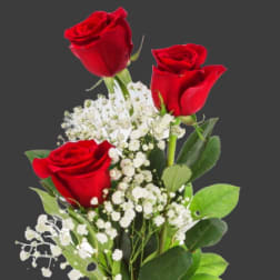 Cheap Love 3 red roses in a vase