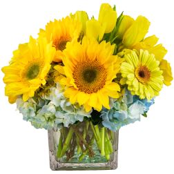 Yellow sunflowers and blue hydrangeas in a clear glass vase