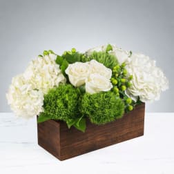 Soft Garden Elegance