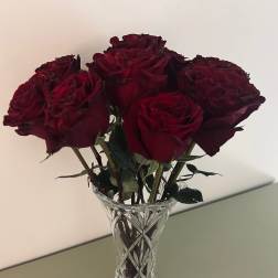 1 Dozen Any Color Formal Vase Roses
