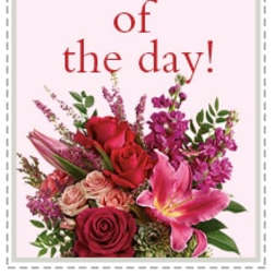 Pink floral bouquet with roses and lilies beneath "deal of the day" text